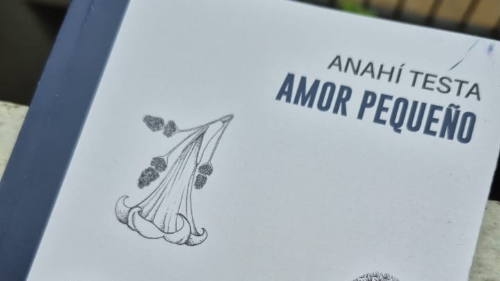 Imagen de: Poemas del libro Amor pequeño